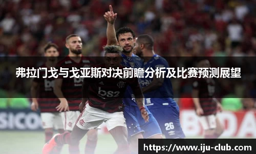 弗拉门戈与戈亚斯对决前瞻分析及比赛预测展望