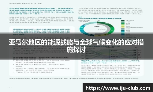 亚马尔地区的能源战略与全球气候变化的应对措施探讨